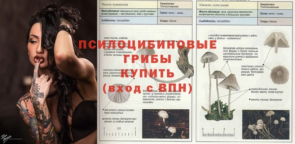 эйфоретик Пролетарск